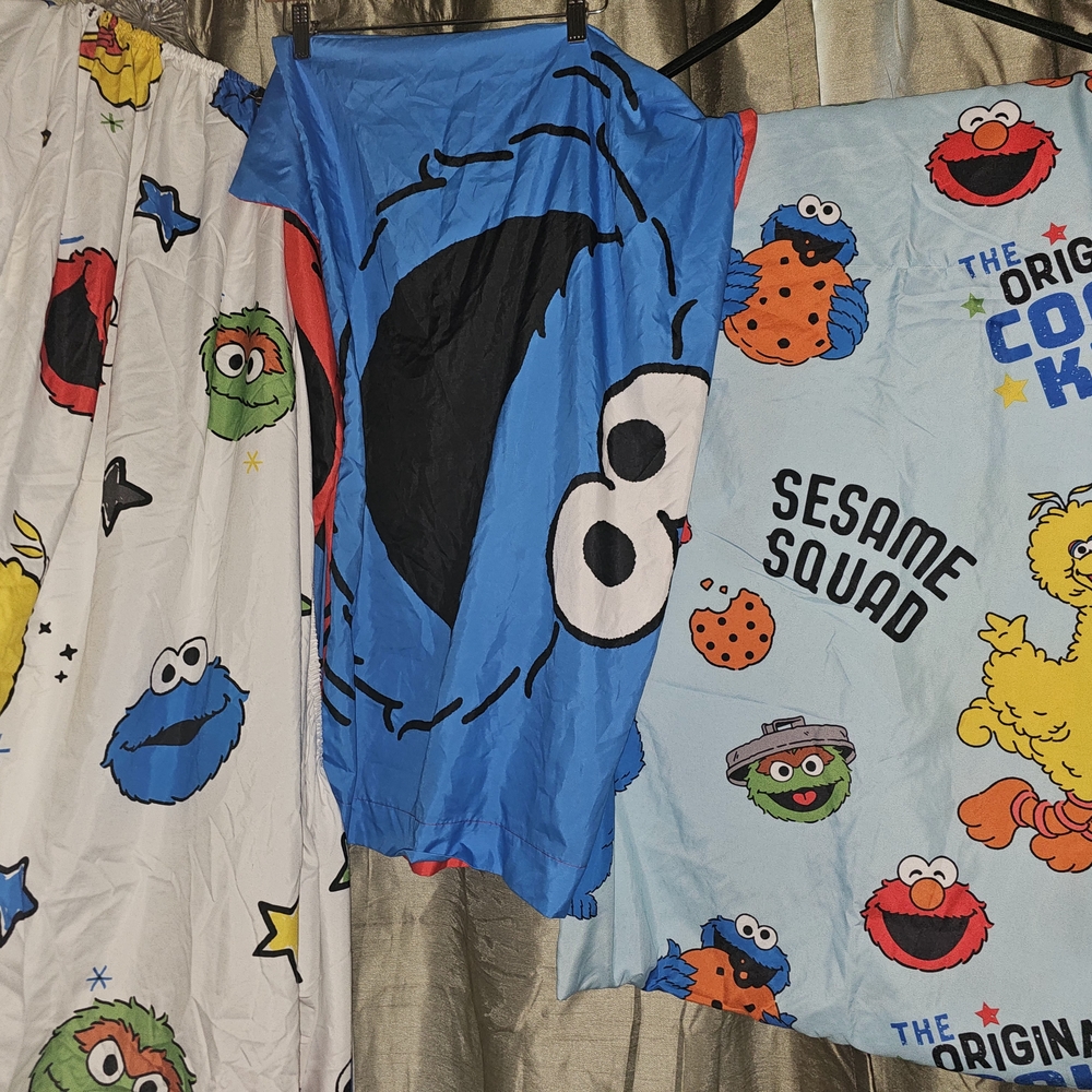 Sesame Street Twin Sheet Set